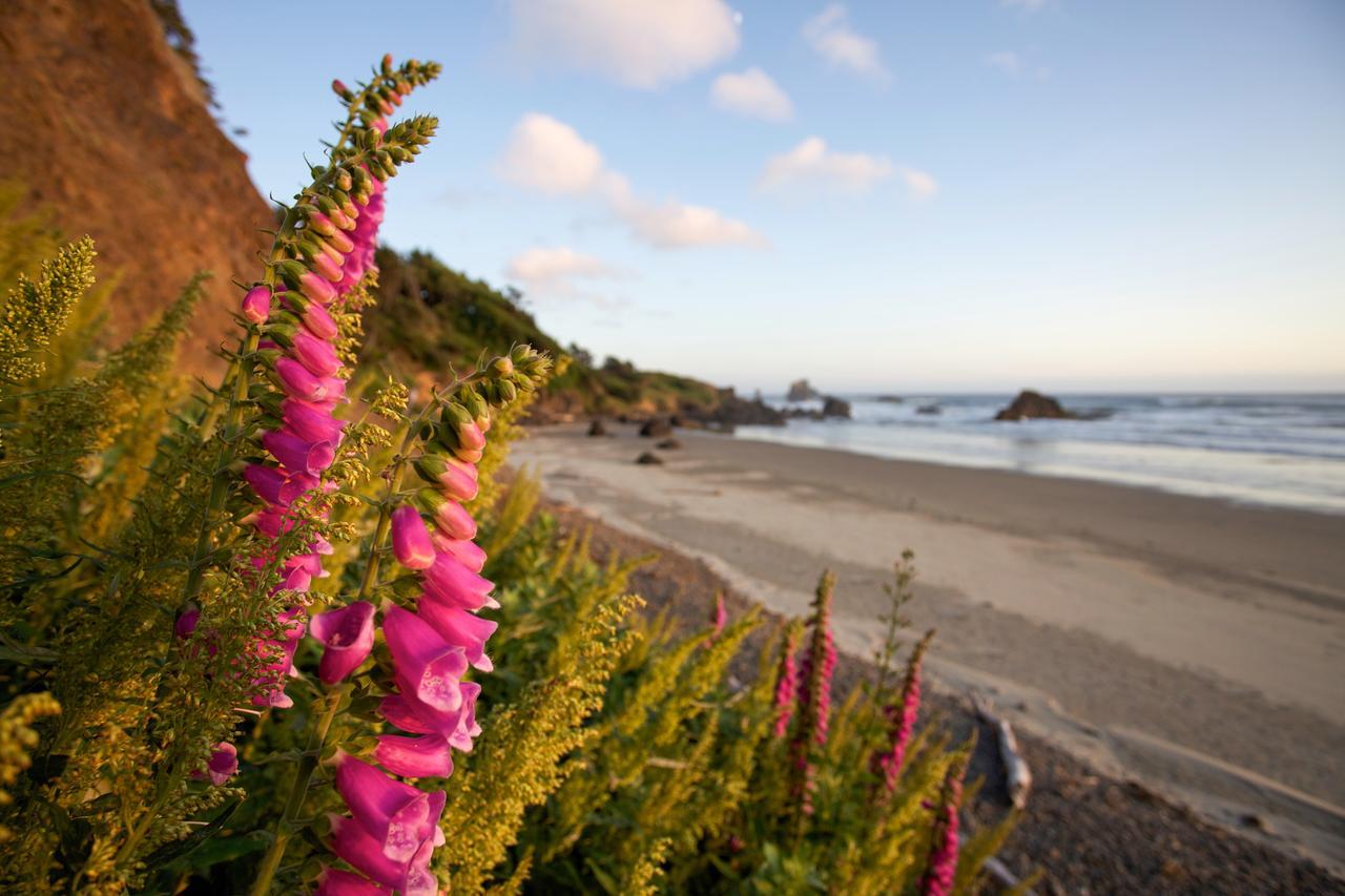 Inn At Cannon Beach Ngoại thất bức ảnh